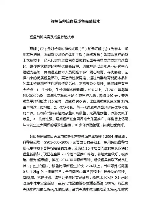 鲤鱼苗种培育及成鱼养殖技术