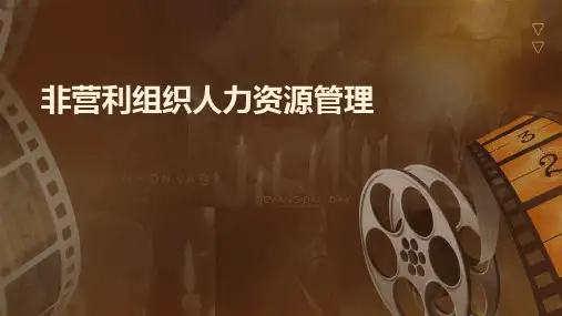 非营利组织人力资源管理
