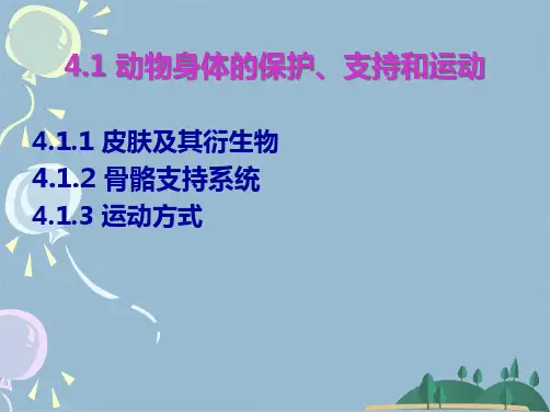 动物生物学章动物体的生命活动(共126张PPT)