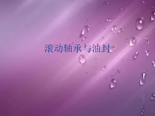 滚动轴承与油封优秀PPT