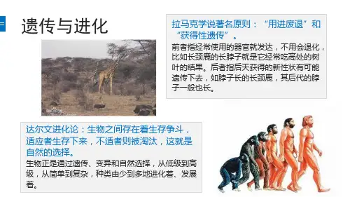 表观遗传学简述ppt课件.pptx
