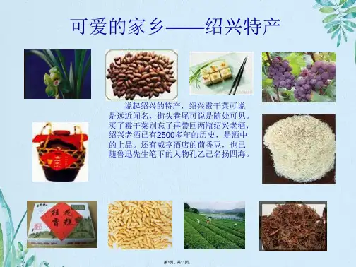 可爱的家乡绍兴特产(共11张PPT)