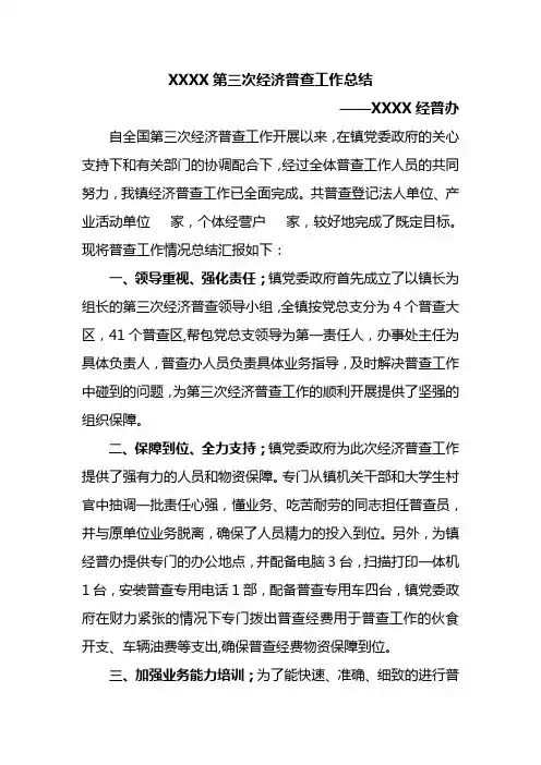 XXX第三次经济普查工作总结