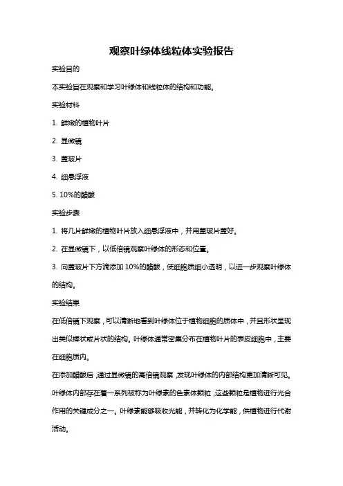 观察叶绿体线粒体实验报告