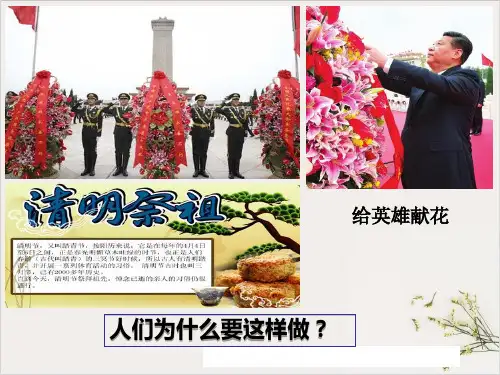 人教版道德与法治七年级上敬畏生命课件(共18张PPT)