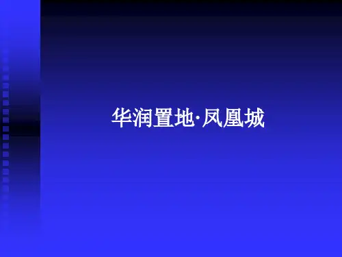 某地产·凤凰城销售展示面及开盘物料展示