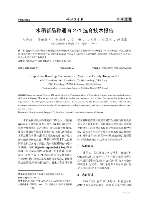 水稻新品种通育271选育技术报告