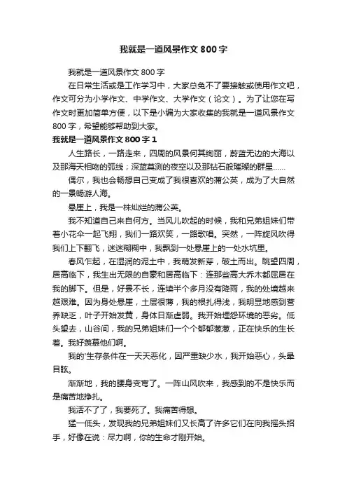 我就是一道风景作文800字