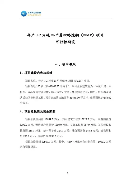年产1.2万吨N-甲基吡咯烷酮(NMP)项目可行性研究