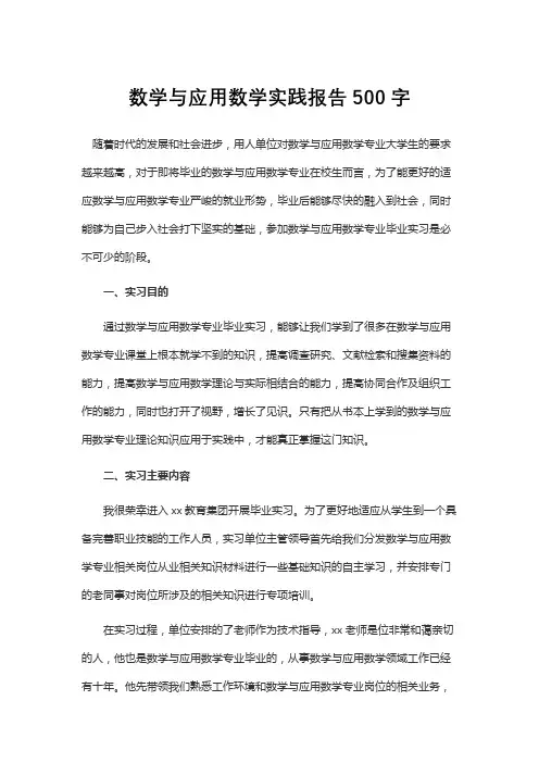 数学与应用数学实践报告500字