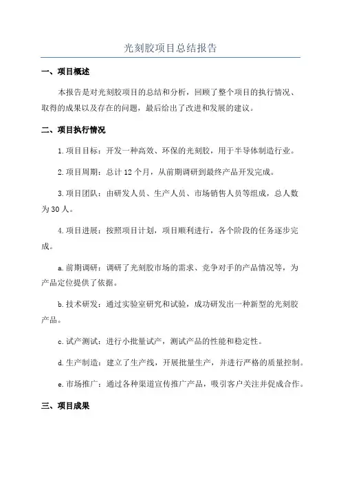 光刻胶项目总结报告