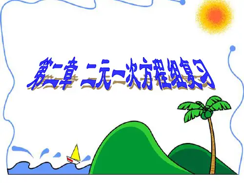 浙教版七年级下册第二章二元一次方程组复习课