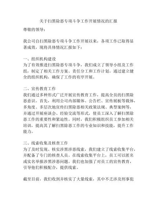 关于扫黑除恶专项斗争工作开展情况的汇报