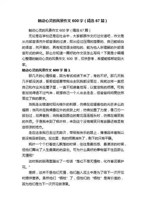 触动心灵的风景作文600字（精选67篇）
