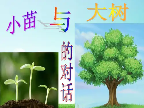 第2课《小苗与大树的对话》ppt课件