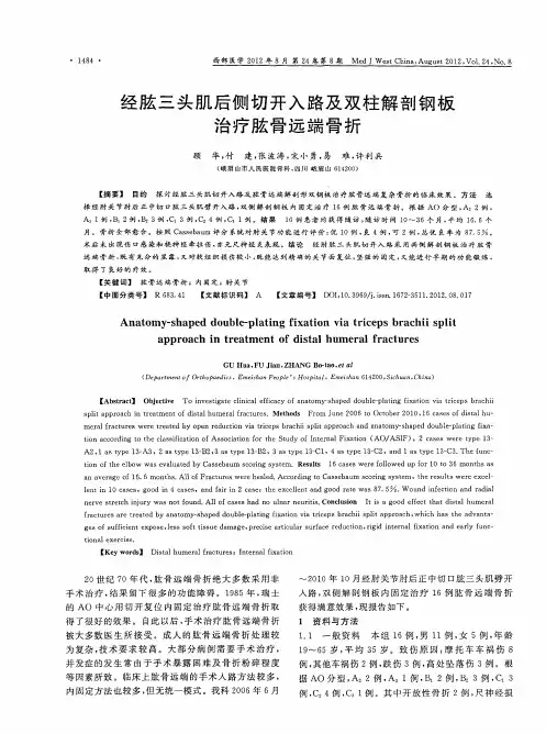 经肱三头肌后侧切开入路及双柱解剖钢板治疗肱骨远端骨折