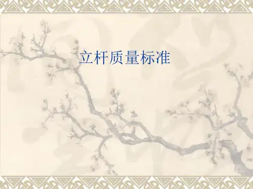 立杆质量标准