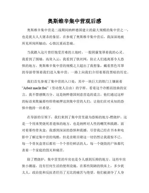 奥斯维辛集中营观后感