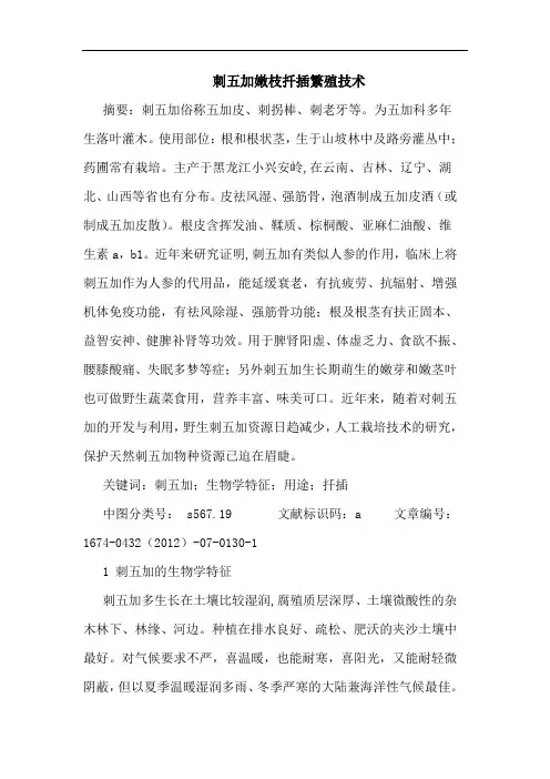 刺五加嫩枝扦插繁殖技术