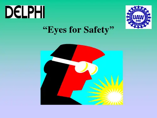 Eyes for Safety1(chinese)REV