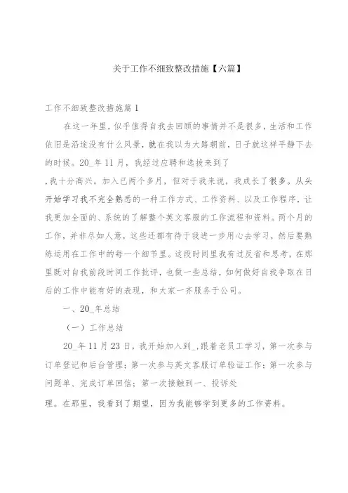 关于工作不细致整改措施【六篇】