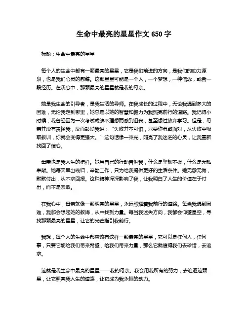 生命中最亮的星星作文650字