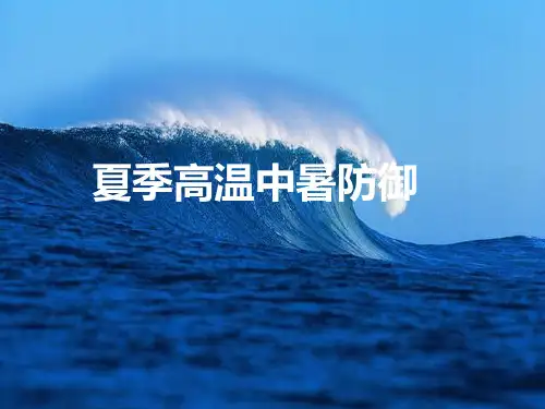 夏季高温中暑防御PPT课件