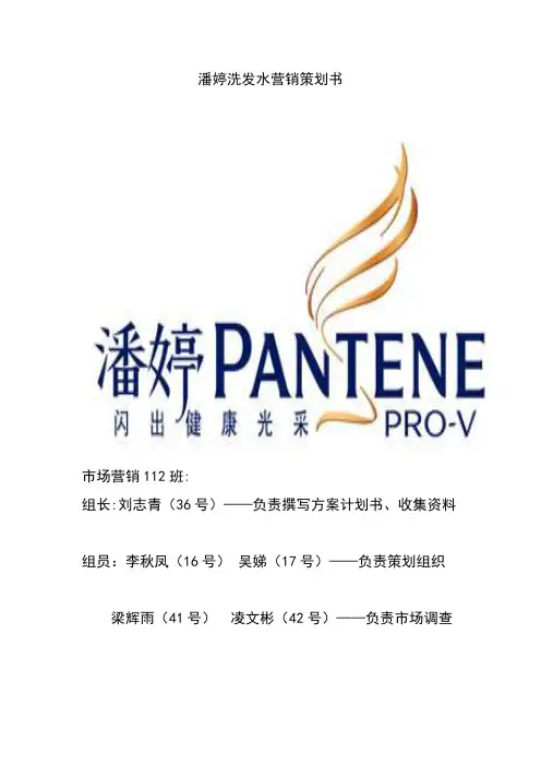 潘婷洗发水营销策划书