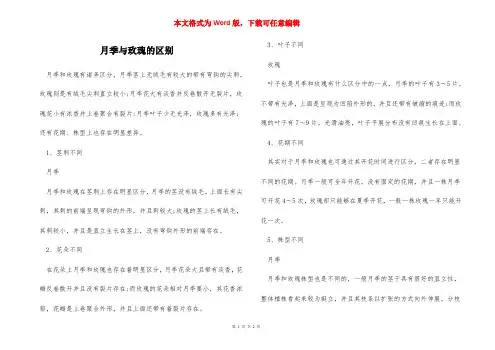 月季与玫瑰的区别