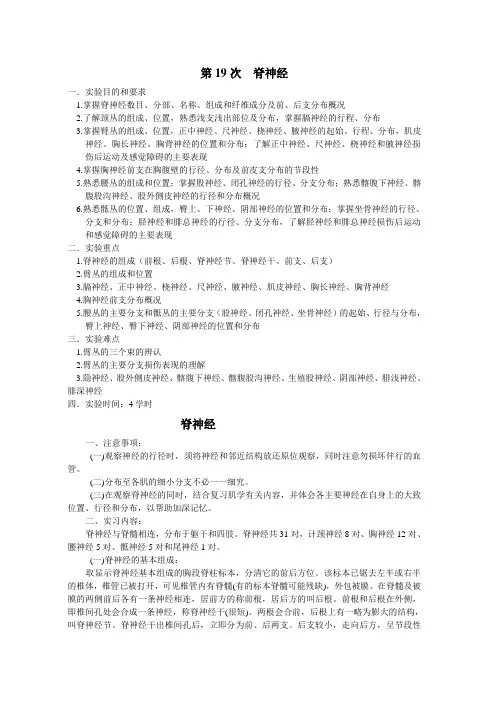 系统解剖学实习指导-神经系统