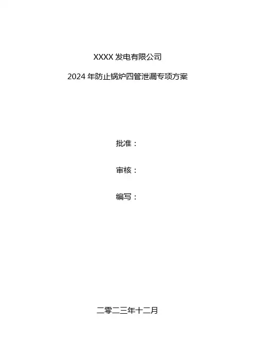 2024年防止锅炉四管泄漏专项方案