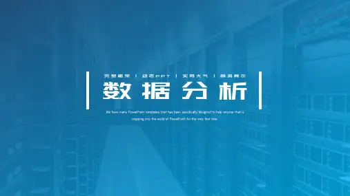 营销数据分析工作汇报市场调查PPT模板
