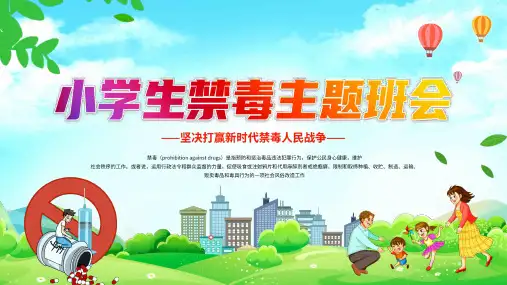 禁毒宣传教育班会ppt课件