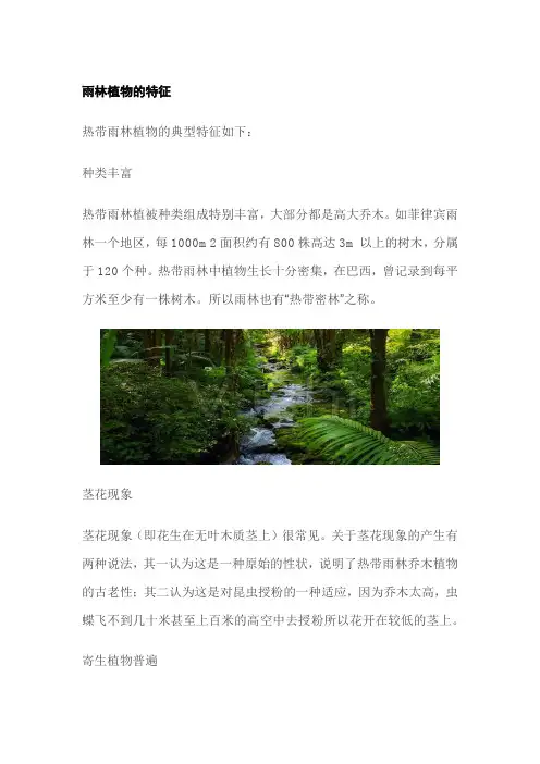 雨林植物的特征