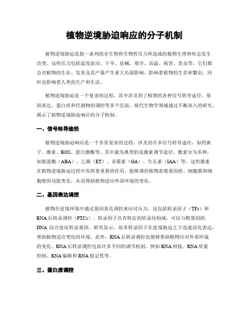 植物逆境胁迫响应的分子机制
