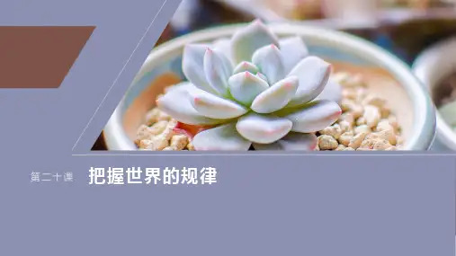 2025年高考政治一轮复习(部编版)必修4第20课课时1世界是普遍联系的