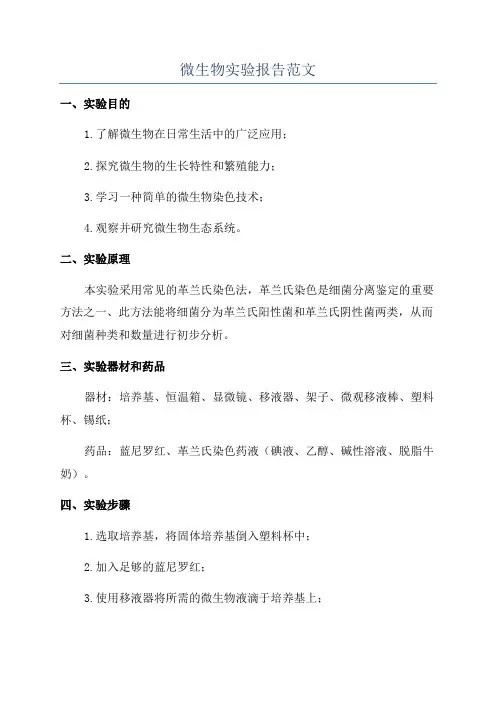 微生物实验报告范文