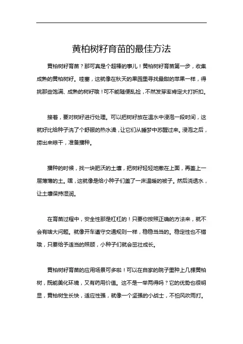 黄柏树籽育苗的最佳方法