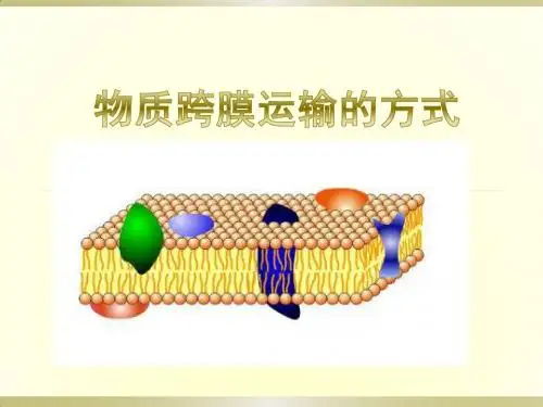 物质跨膜运输的方式