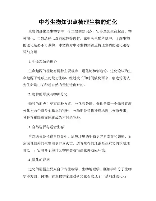 中考生物知识点梳理生物的进化