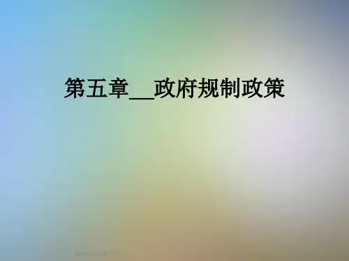 第五章__政府规制政策