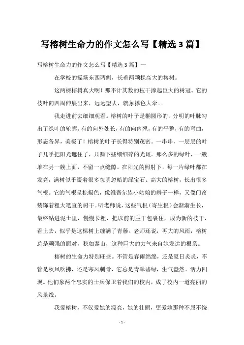 写榕树生命力的作文怎么写【3篇】