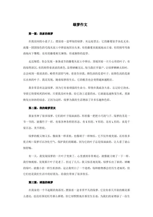 绿萝作文 