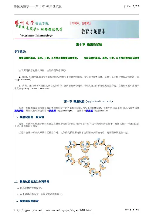 凝集性试验