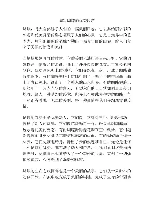 描写蝴蝶的优美段落