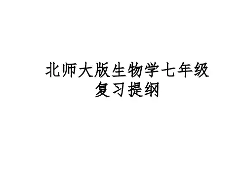 北师大版生物七年级上册期末复习课件