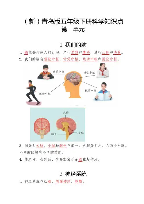 2022(新版)青岛版五年级下册科学全册知识点汇总含思维导图
