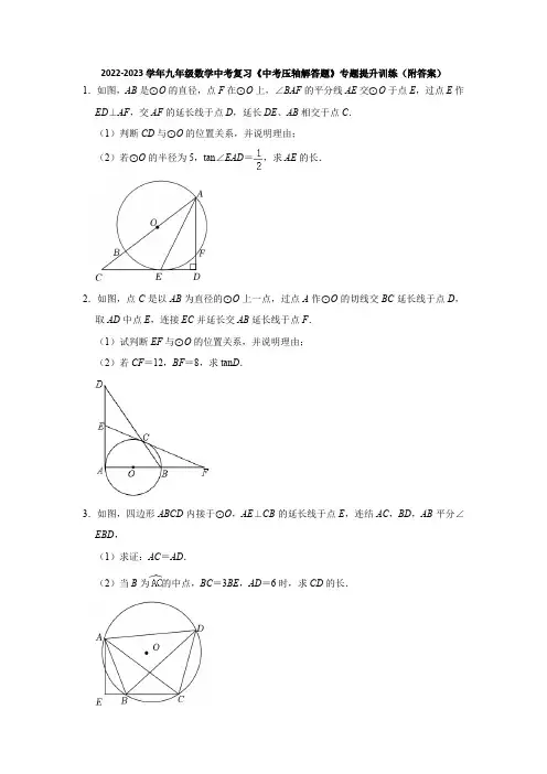 2023年九年级数学中考复习《中考压轴解答题》专题提升训练(含解析)