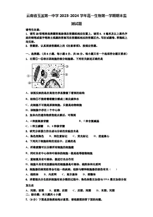 云南省玉溪第一中学2023-2024学年高一生物第一学期期末监测试题含解析