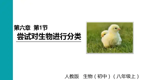 人教版八年级生物上册 第6单元 第一章 根据生物的特征进行分类第一节 尝试对生物进行分类